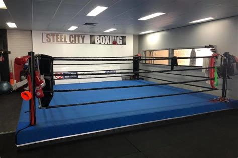 steel city boxing hamilton nsw|steel city interactive ltd.